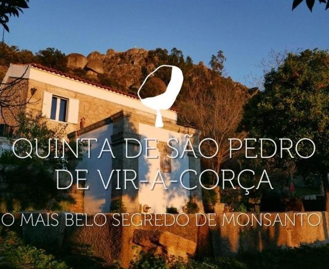 לינה וארוחת בוקר Quinta De Sao Pedro De Vir-A-Corca Em מונסנטו מראה חיצוני תמונה